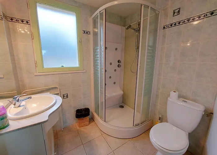 Les Iris Saint-Ellier-du-Maine