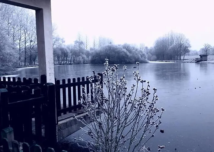 Les Iris * Saint-Ellier-du-Maine