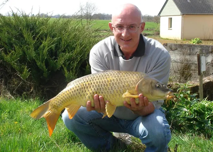 Tatil Evi Les Iris Saint-Ellier-du-Maine