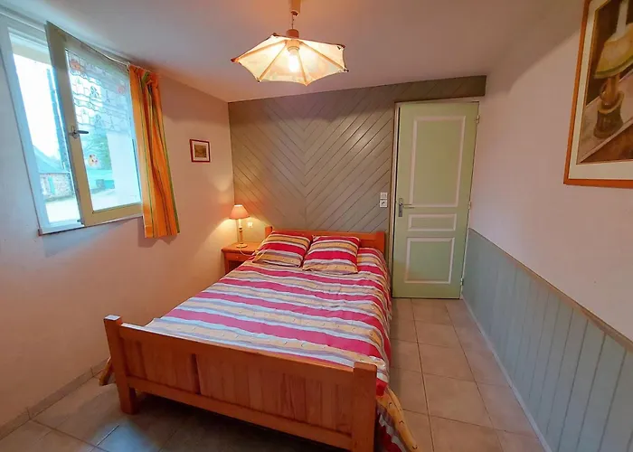 Les Iris Saint-Ellier-du-Maine